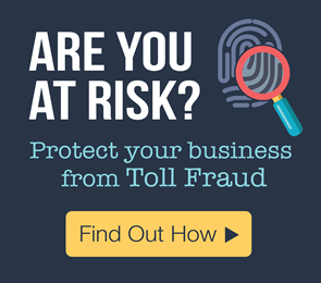Toll Fraud Prevention for network security. Is your business at risk? 