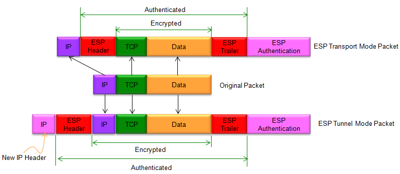 Authentication reason. IPSEC Ah ESP. IPSEC структура пакета. Структура заголовка ESP. IPSEC заголовки.